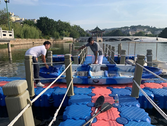 blog 1